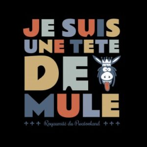t-shirt-tete-de-mule (1)